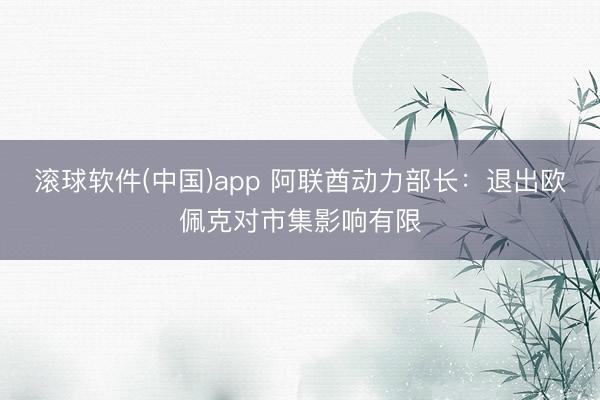 滚球软件(中国)app 阿联酋动力部长:退出欧佩克对市集影响有限