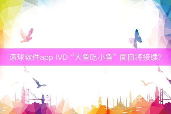 滚球软件app IVD “大鱼吃小鱼” 面目将接续？