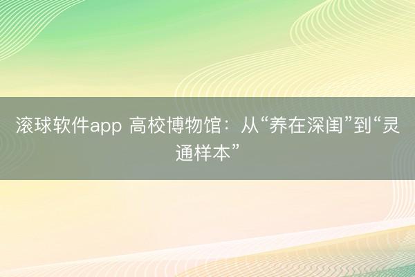 滚球软件app 高校博物馆：从“养在深闺”到“灵通样本”