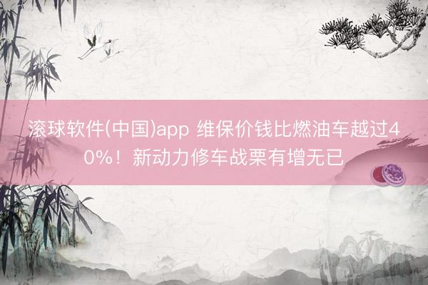 滚球软件(中国)app 维保价钱比燃油车越过40%!新动力修车战栗有增无已