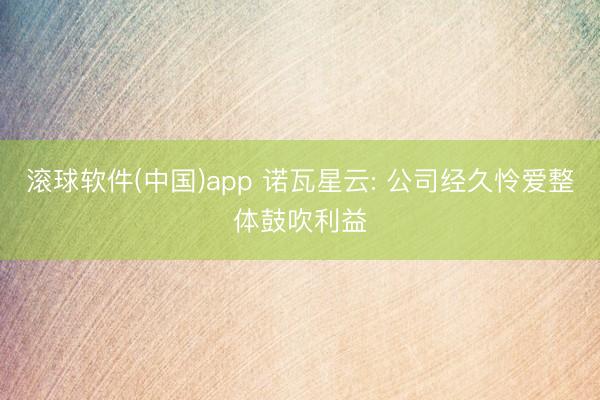 滚球软件(中国)app 诺瓦星云: 公司经久怜爱整体鼓吹利益