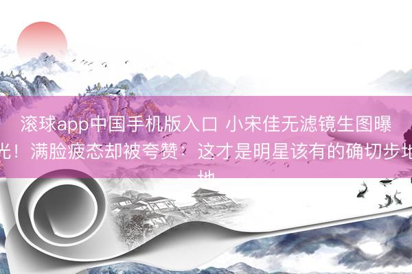 滚球app中国手机版入口 小宋佳无滤镜生图曝光!满脸疲态却被夸赞:这才是明星该有的确切步地
